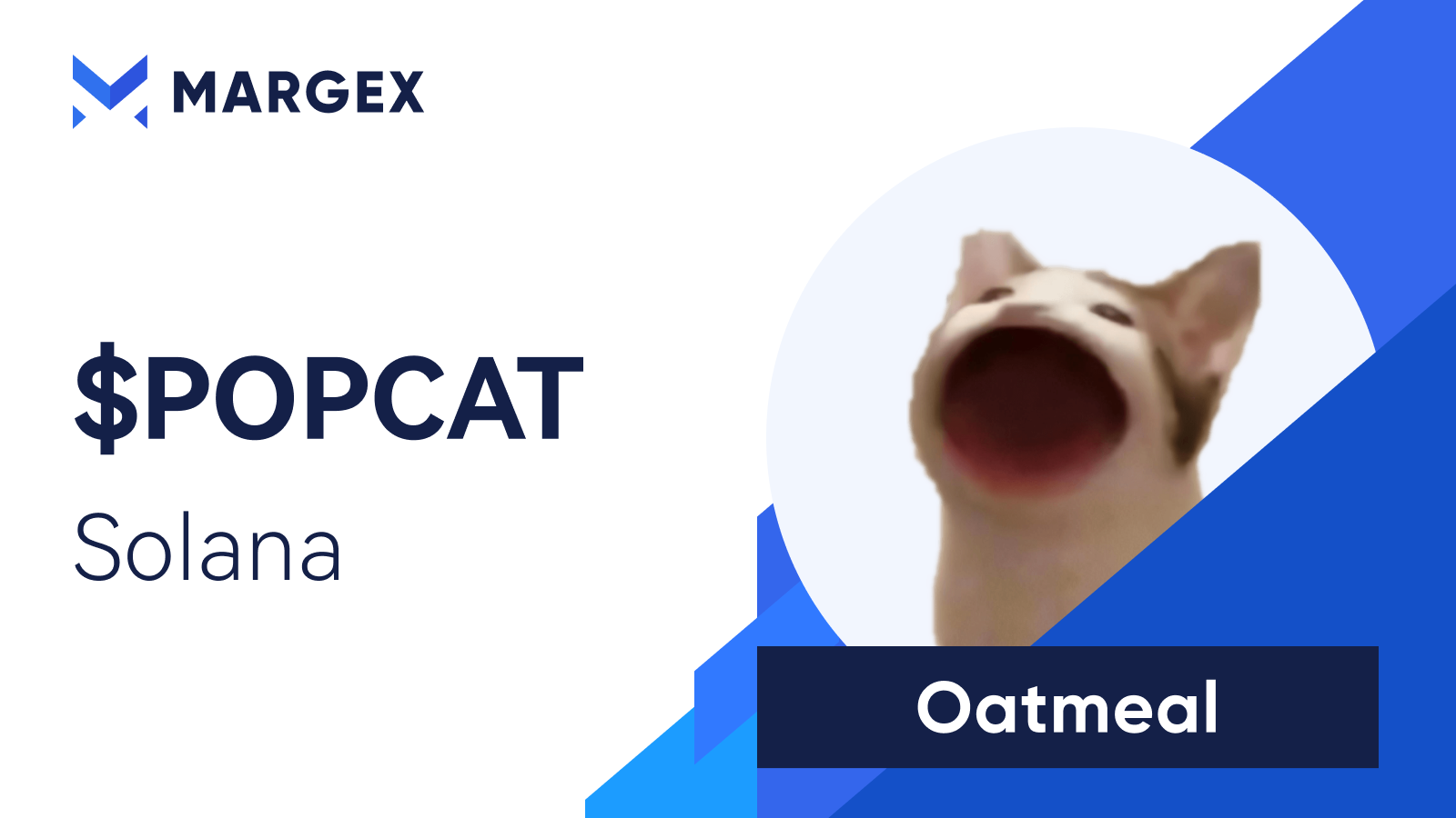 Top 5 Meme Coins on Solana Network - Margex Blog Top 5 Meme Coins on Solana Network