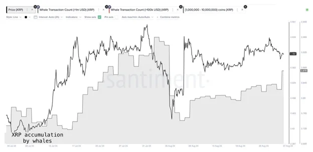 Una mirada técnica completa sobre Ethereum, Solana y Ripple - Margex Blog