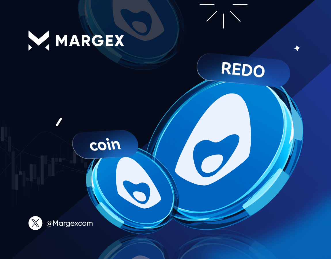 TON 체인의 상위 5개 코인 - Margex Blog Top 5 Coins on TON Chain