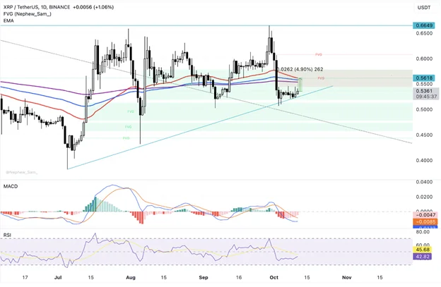 Bitcoin’s 4% Surge and XRP’s Steady Performance - Margex Blog