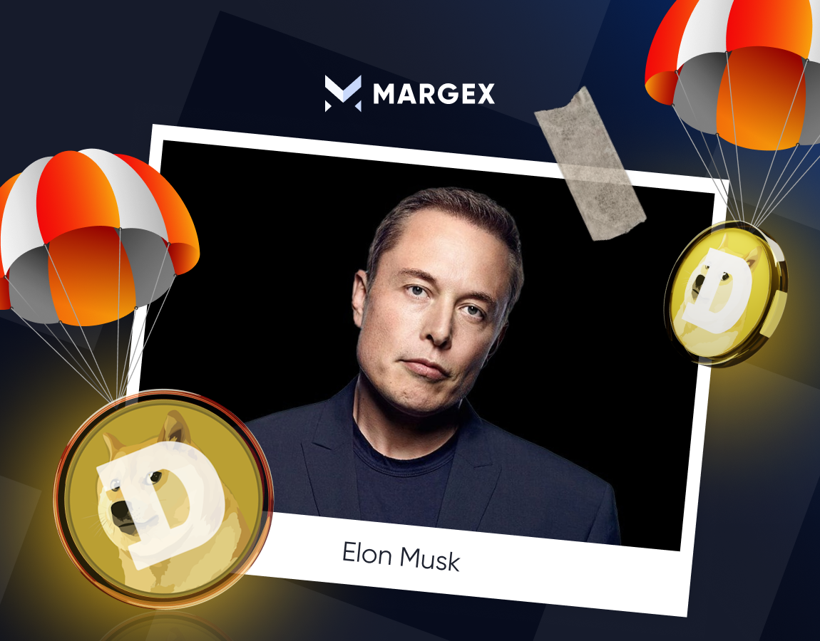 Crypto Market Reacts to Trump & Musk’s Bold Moves – What It Means for Investors | Margex Blog