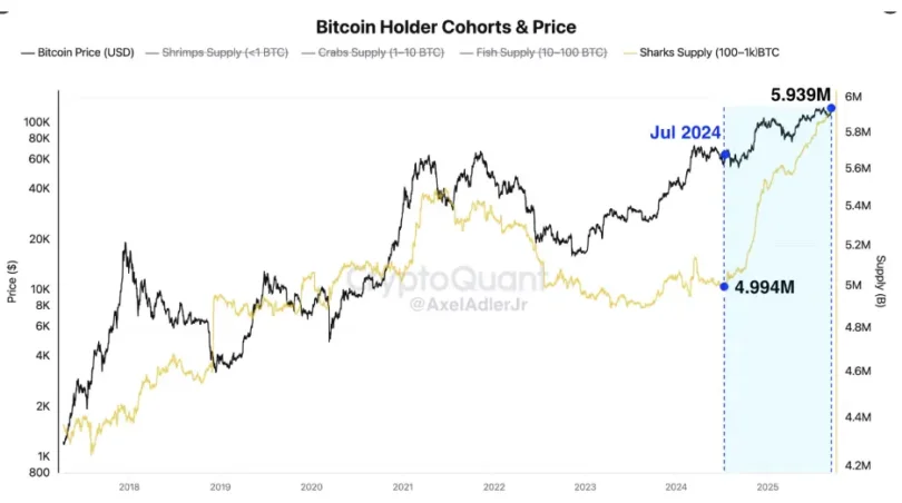 Bitcoin ETFs Gain .34B as BTC Stalls